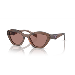 Sunglasses Prada PRA02S 17O60B 52 19