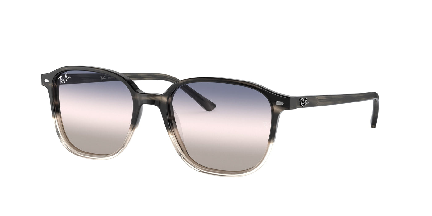 Gafas de Sol Ray-Ban LEONARD RB2193 1326GE 53 18