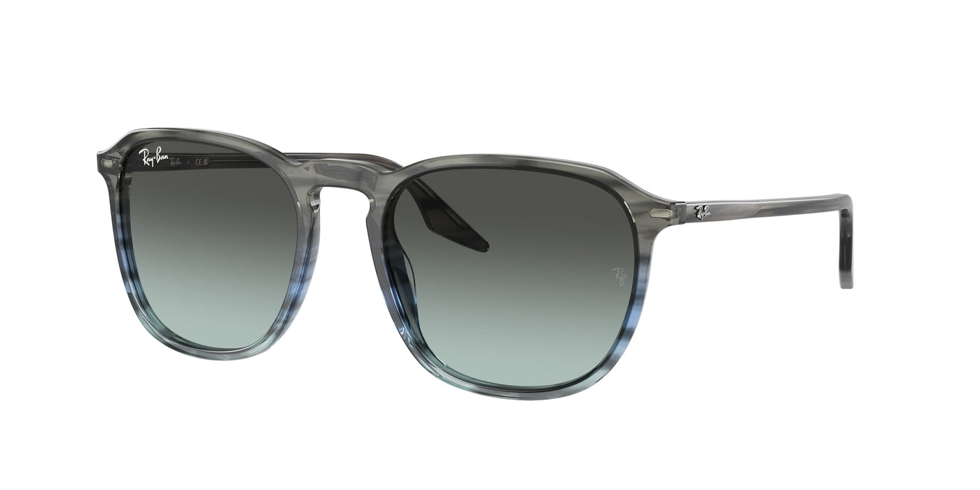 Gafas de Sol Ray-Ban RB2203 1391GK 52 20