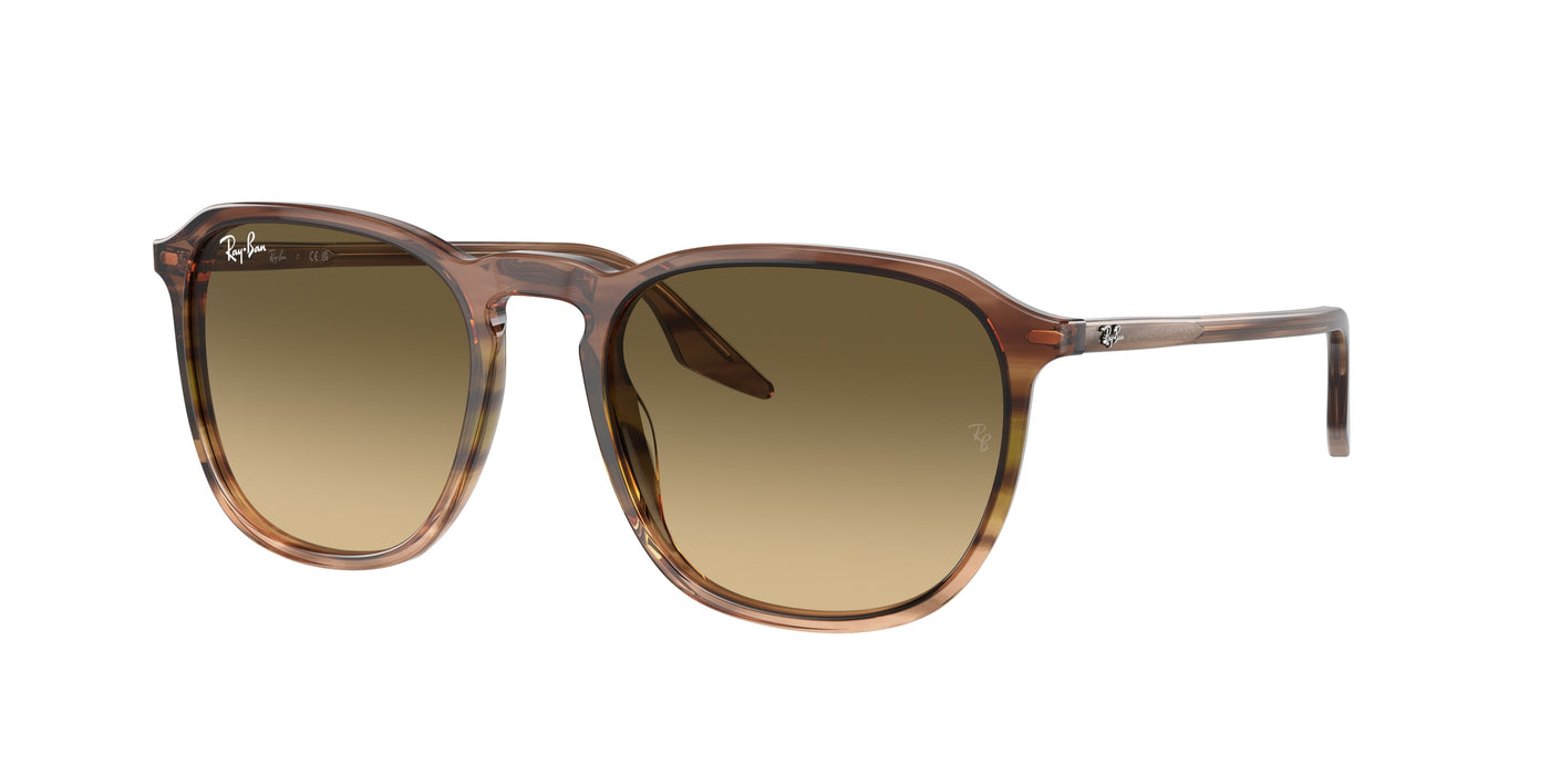Gafas de Sol Ray-Ban RB2203 13920A 52 20