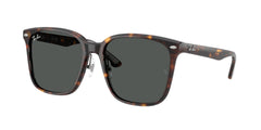 Gafas de Sol Ray-Ban RB2206D 710/87 57 18