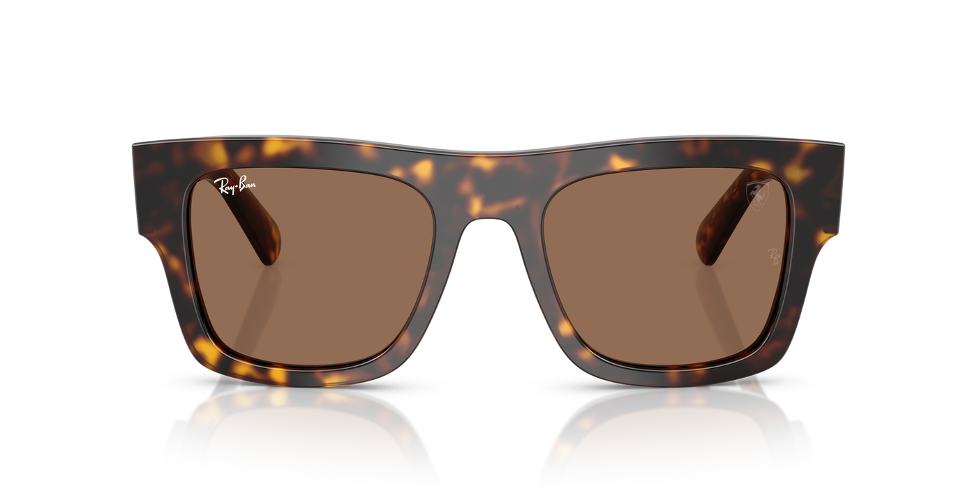 Gafas de Sol Ray-Ban F70511 RB2217M F61373