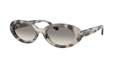 Sunglasses Ray-Ban RB2223 144832 54 19