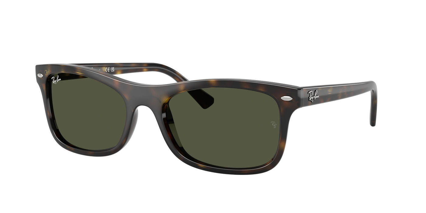 Gafas de Sol Ray-Ban RB2226 710/31