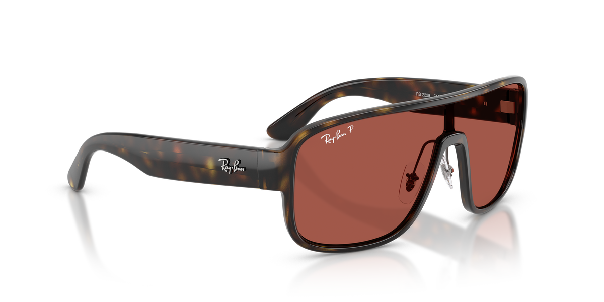 Gafas de Sol Ray-Ban RB2229 710/1B 29 129