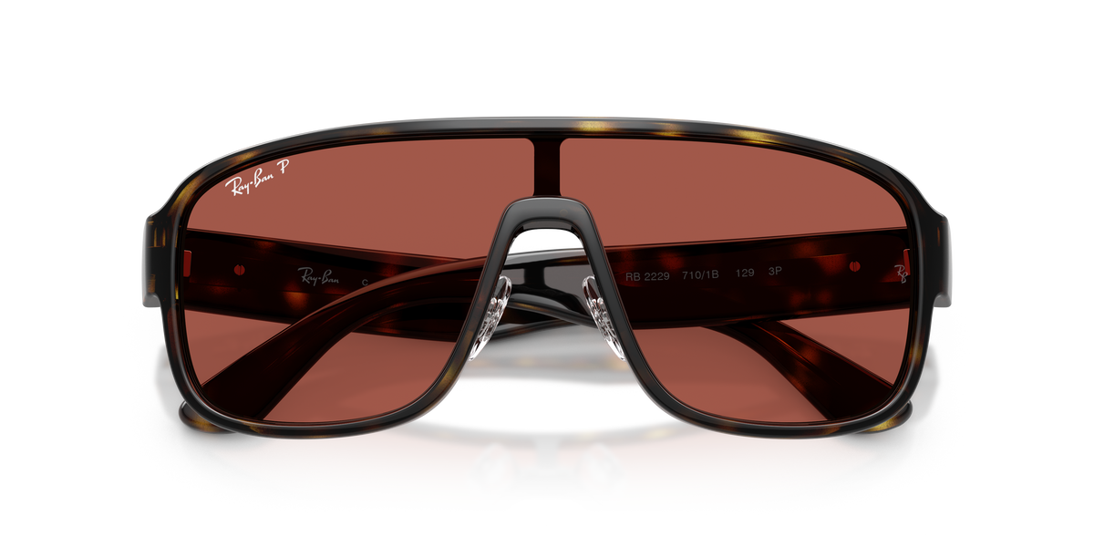 Gafas de Sol Ray-Ban RB2229 710/1B 29 129