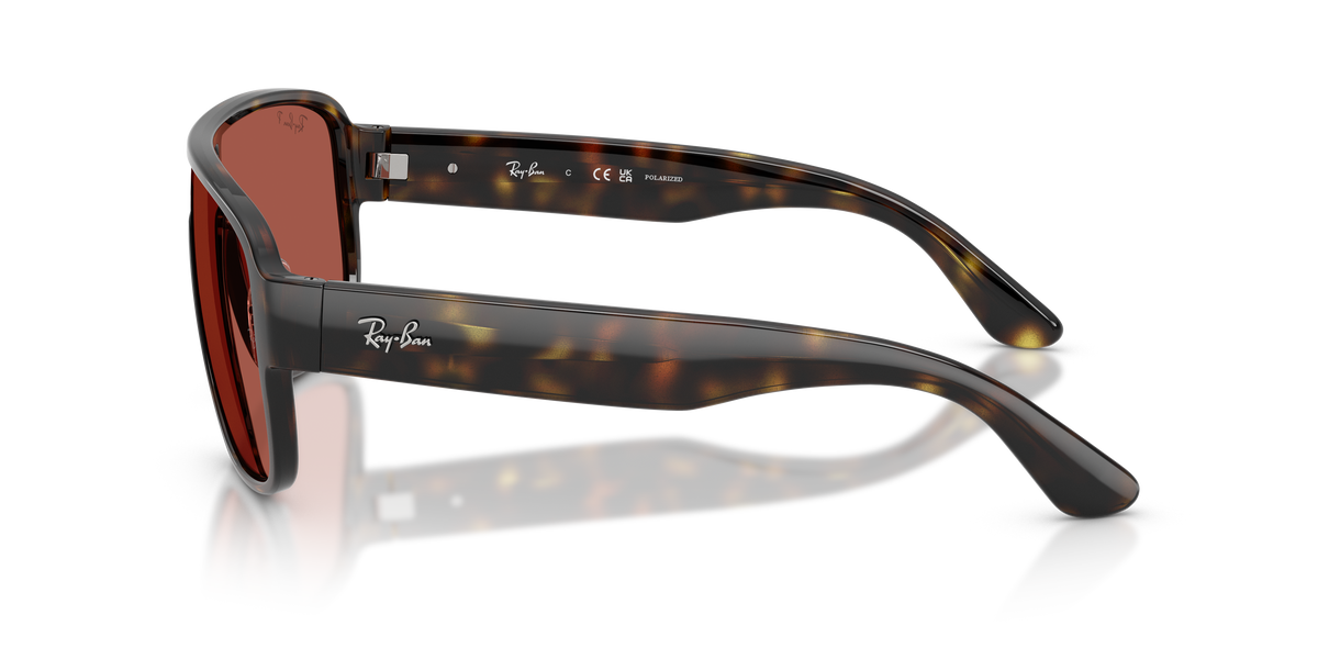 Gafas de Sol Ray-Ban RB2229 710/1B 29 129