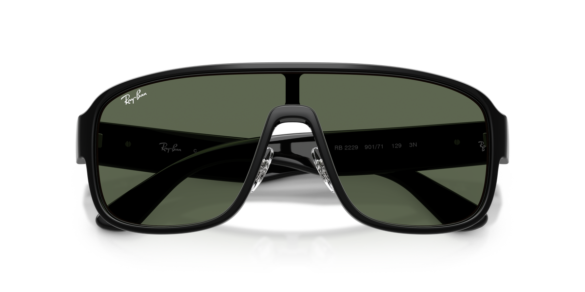 Gafas de Sol Ray-Ban RB2229 901/71 29 129