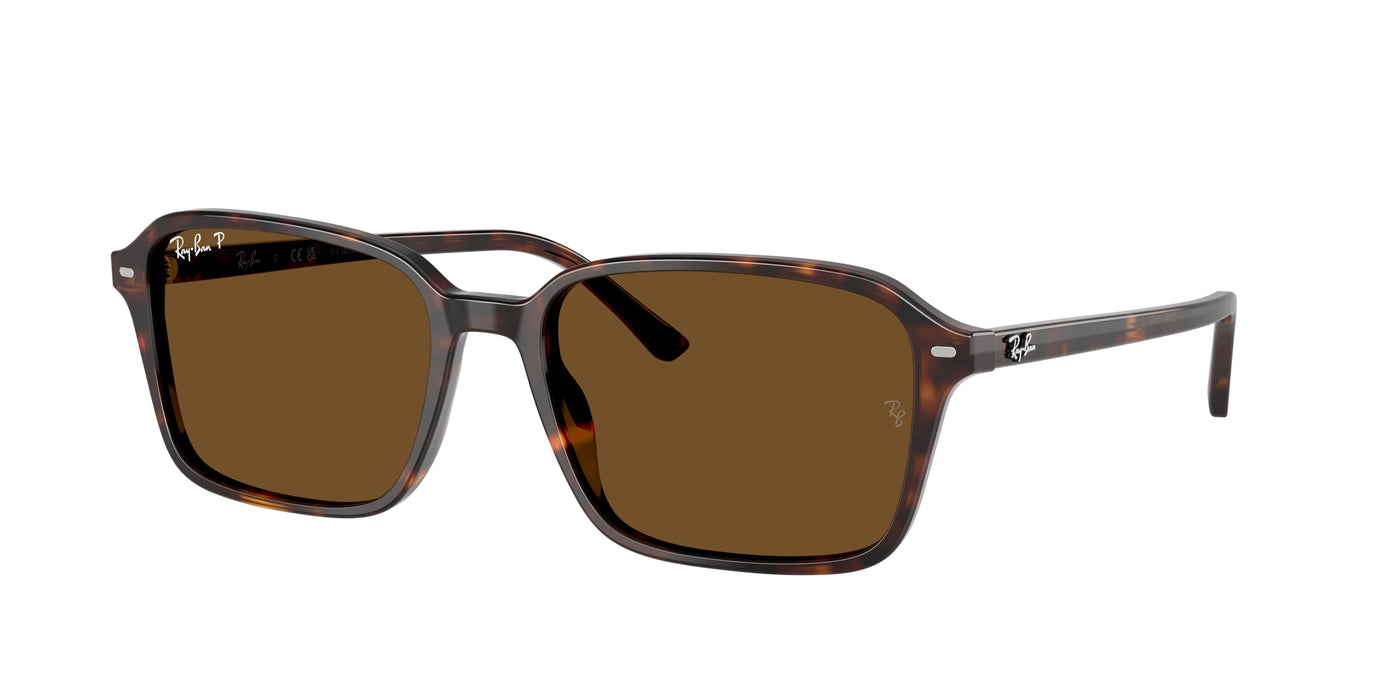 Gafas de Sol Ray-Ban RAIMOND RB2231 902/57 58 18