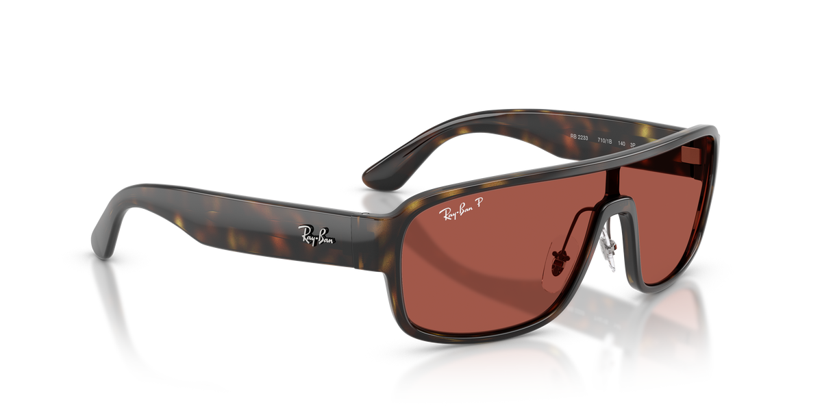 Sunglasses Ray-Ban RB2233 710/1B 29 129