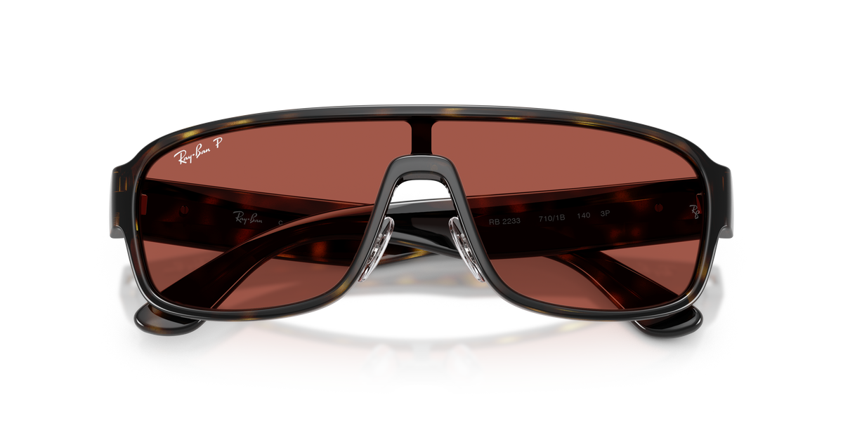 Sunglasses Ray-Ban RB2233 710/1B 29 129