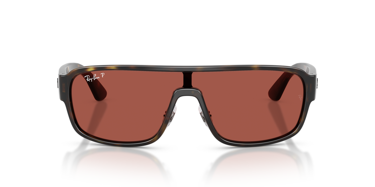 Sunglasses Ray-Ban RB2233 710/1B 29 129