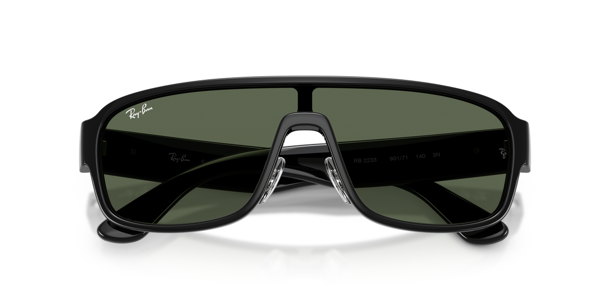Sunglasses Ray-Ban RB2233 901/71 29 129