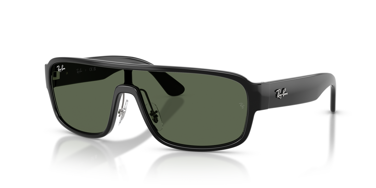 Sunglasses Ray-Ban RB2233 901/71 29 129