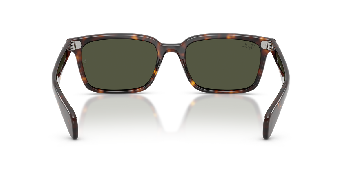 Sunglasses Ray-Ban Brunel RB2234 902/31 53 / 56 19