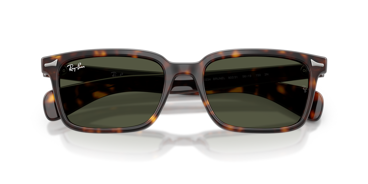 Sunglasses Ray-Ban Brunel RB2234 902/31 53 / 56 19