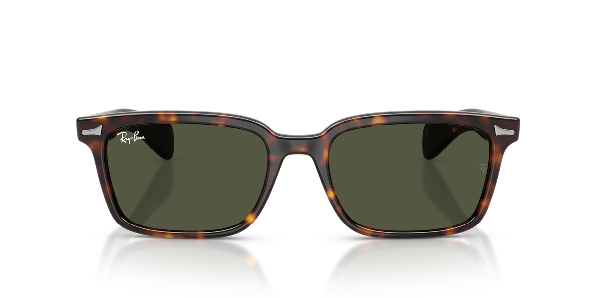 Sunglasses Ray-Ban Brunel RB2234 902/31 53 / 56 19