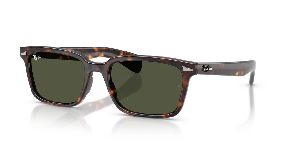 Sunglasses Ray-Ban Brunel RB2234 902/31 53 / 56 19