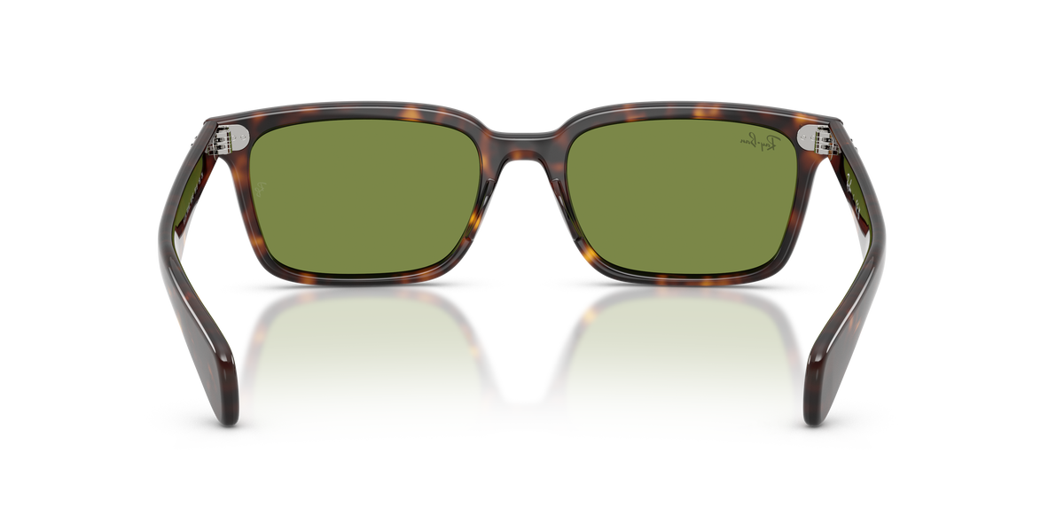 Sunglasses Ray-Ban Brunel RB2234 902/4E 53 / 56 19