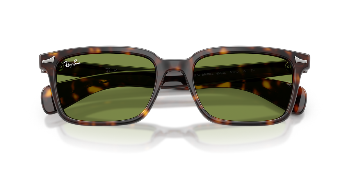 Sunglasses Ray-Ban Brunel RB2234 902/4E 53 / 56 19
