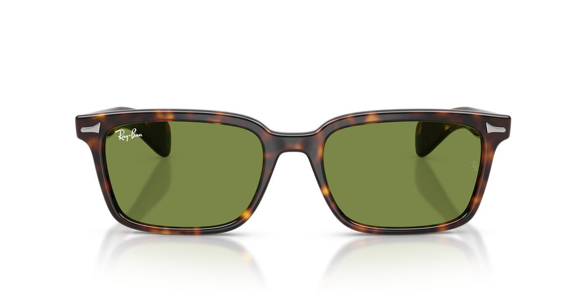 Sunglasses Ray-Ban Brunel RB2234 902/4E 53 / 56 19