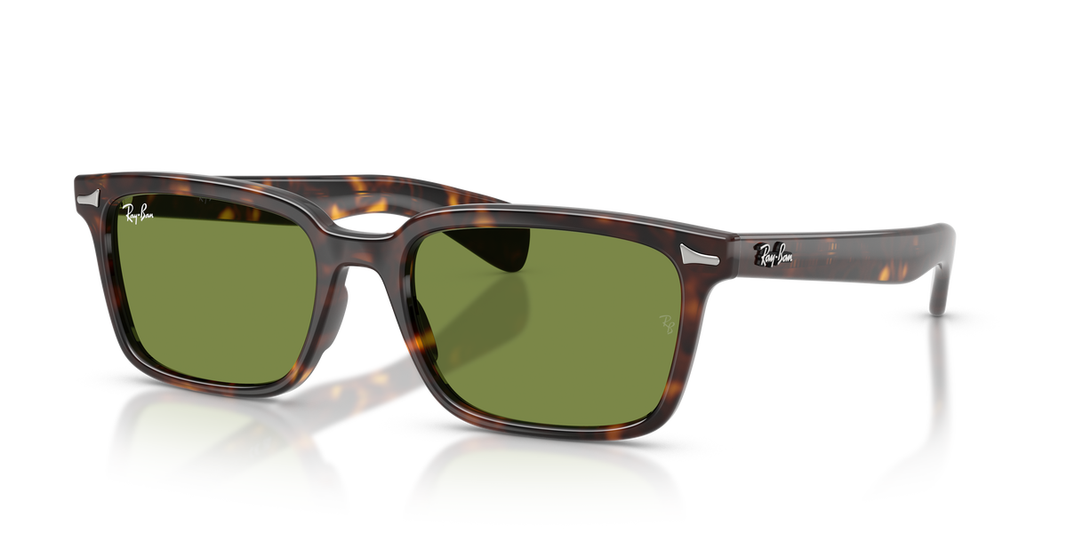 Sunglasses Ray-Ban Brunel RB2234 902/4E 53 / 56 19