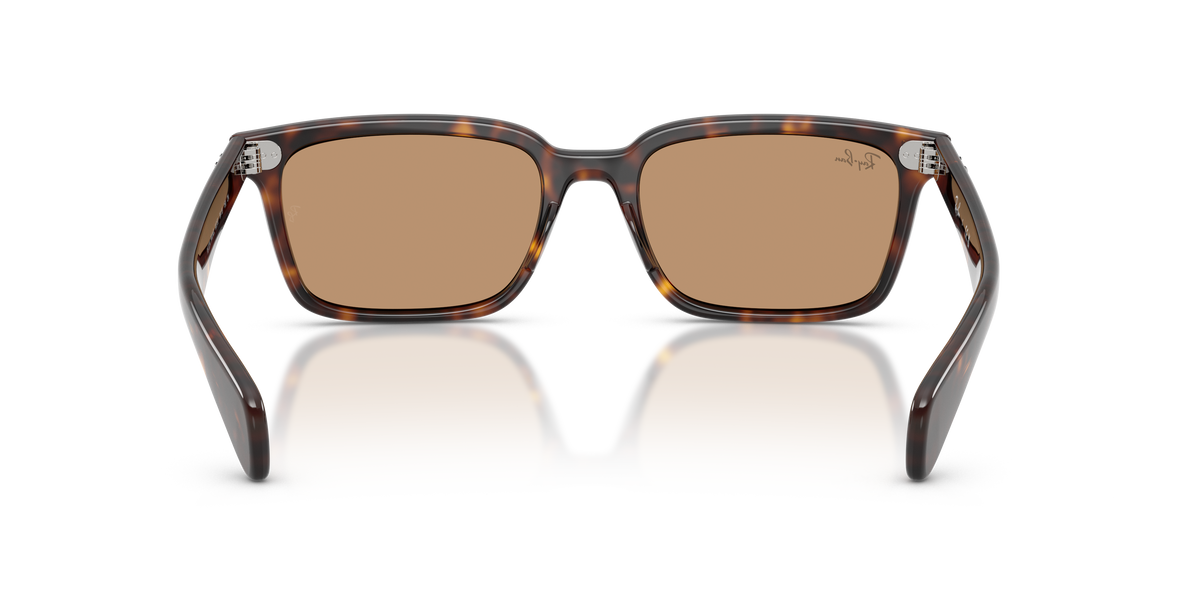 Sunglasses Ray-Ban Brunel RB2234 902/53 53 / 56 19