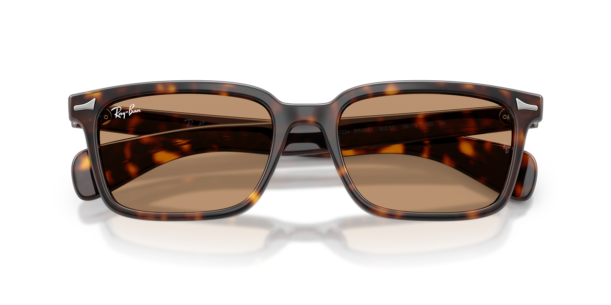 Sunglasses Ray-Ban Brunel RB2234 902/53 53 / 56 19