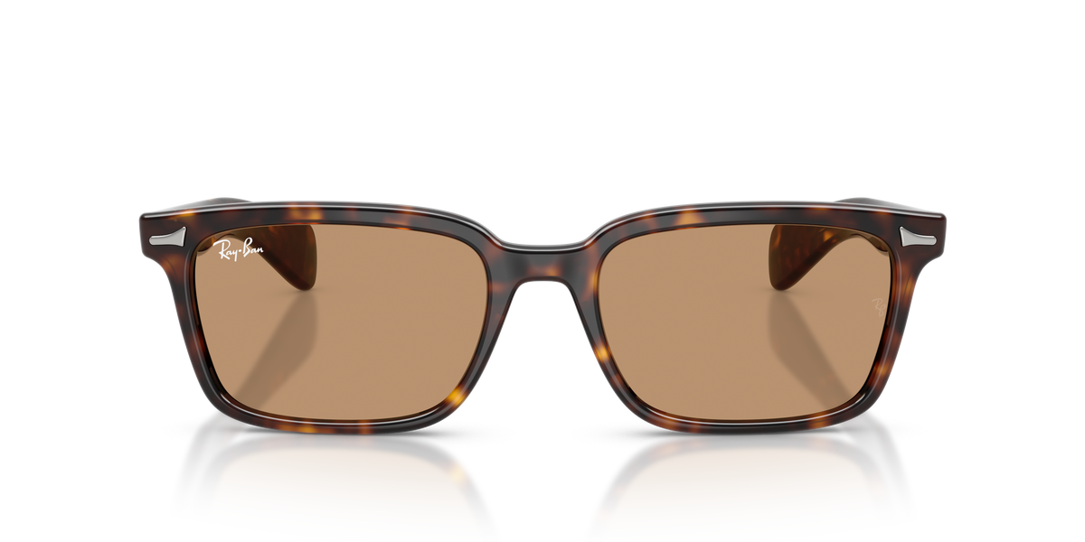 Sunglasses Ray-Ban Brunel RB2234 902/53 53 / 56 19