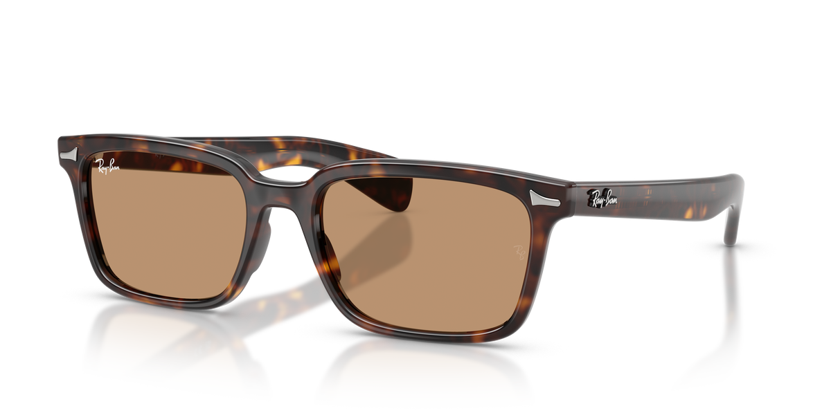 Sunglasses Ray-Ban Brunel RB2234 902/53 53 / 56 19