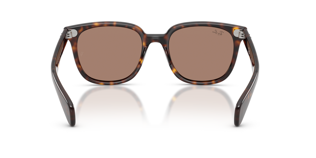 Gafas de Sol Ray-Ban Brunel Ii RB2235 902/1A 53 20