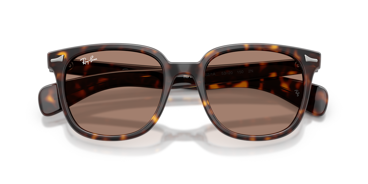 Gafas de Sol Ray-Ban Brunel Ii RB2235 902/1A 53 20