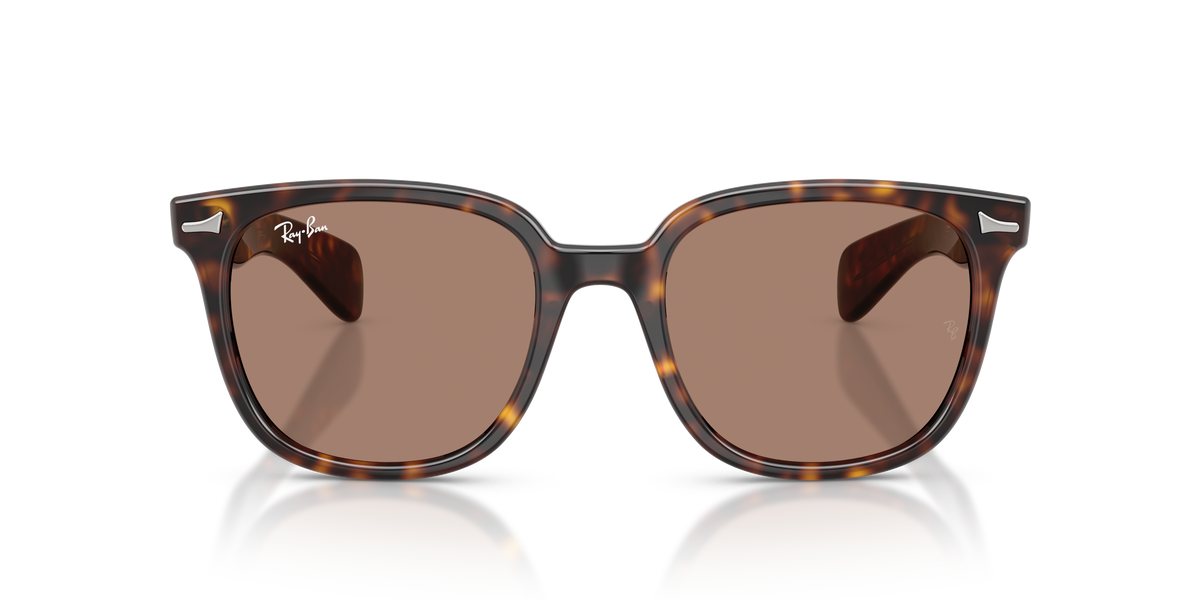 Gafas de Sol Ray-Ban Brunel Ii RB2235 902/1A 53 20