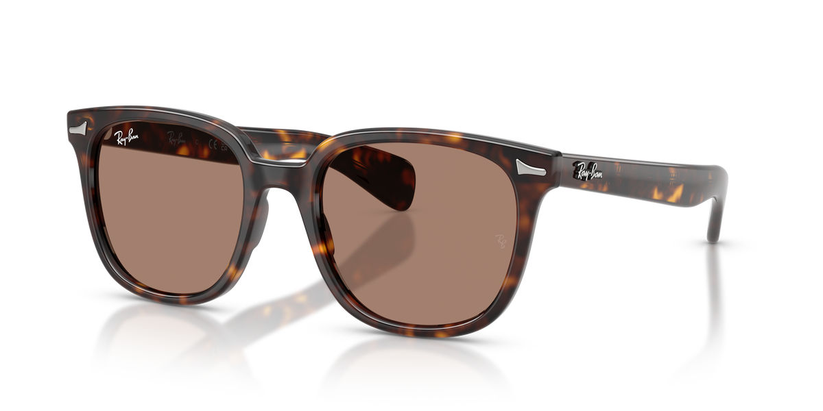 Sunglasses Ray-Ban Brunel Ii RB2235 902/1A 53 20