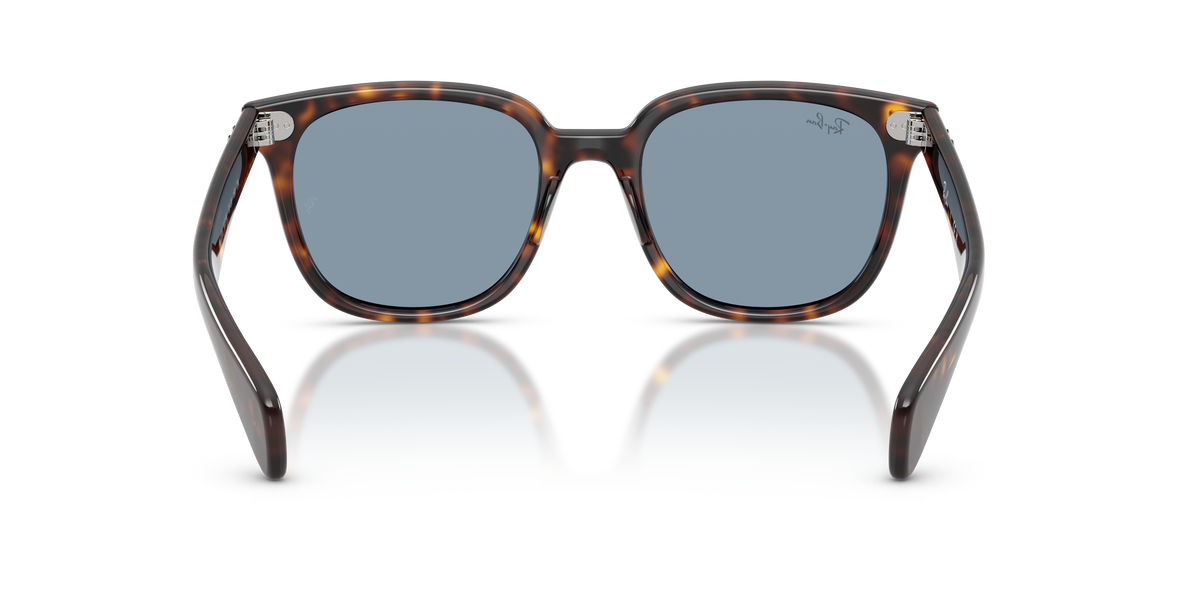 Sunglasses Ray-Ban Brunel Ii RB2235 902/56 53 20