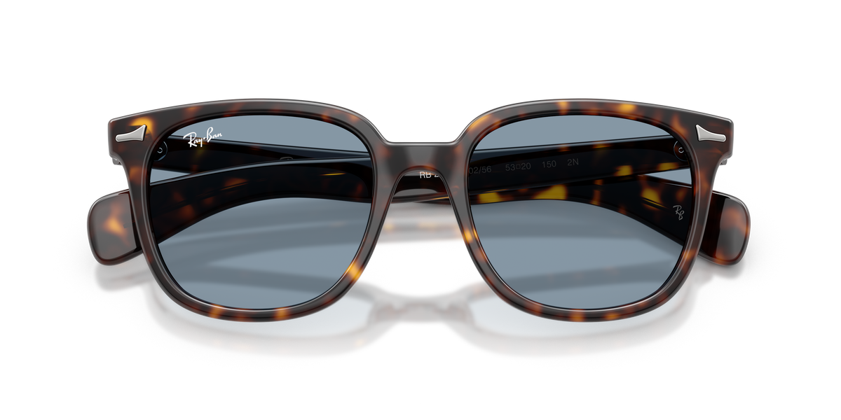 Sunglasses Ray-Ban Brunel Ii RB2235 902/56 53 20