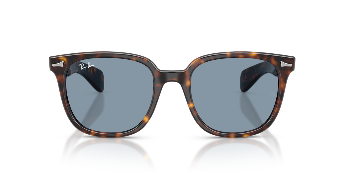 Sunglasses Ray-Ban Brunel Ii RB2235 902/56 53 20