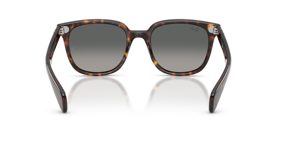 Sunglasses Ray-Ban Brunel Ii RB2235 902/71 53 20