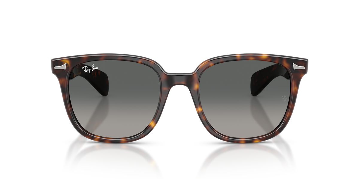 Sunglasses Ray-Ban Brunel Ii RB2235 902/71 53 20