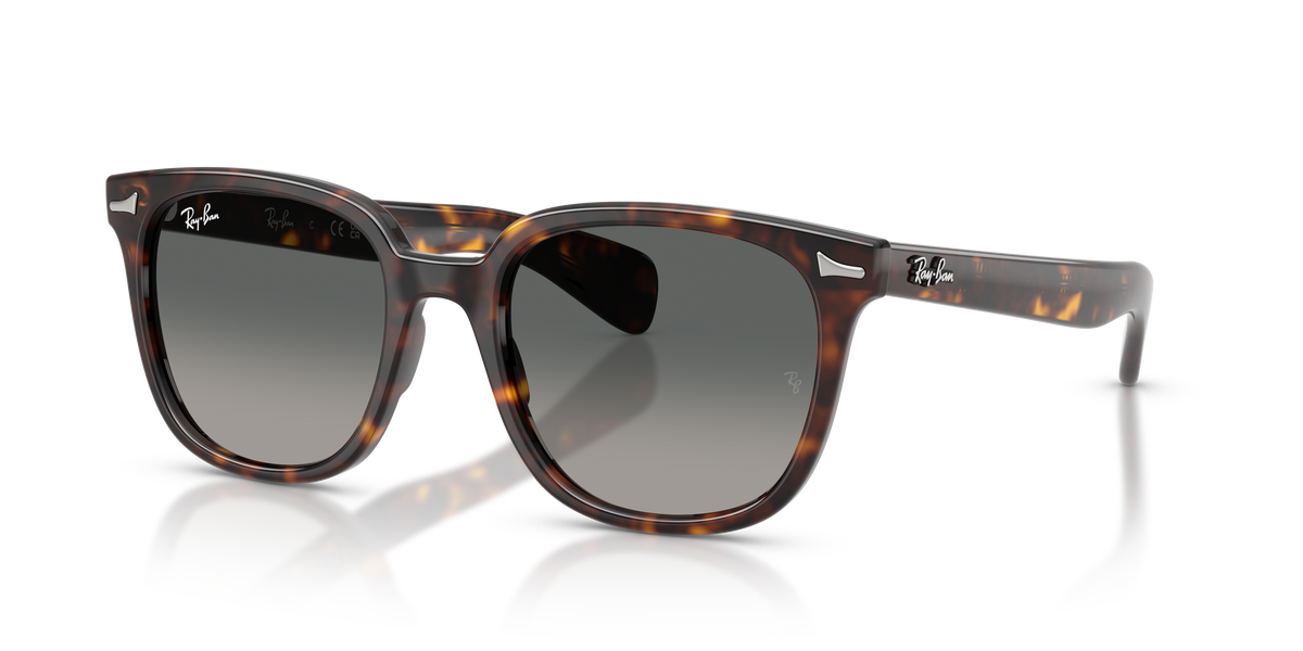 Sunglasses Ray-Ban Brunel Ii RB2235 902/71 53 20