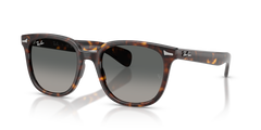 Sunglasses Ray-Ban Brunel Ii RB2235 902/71 53 20