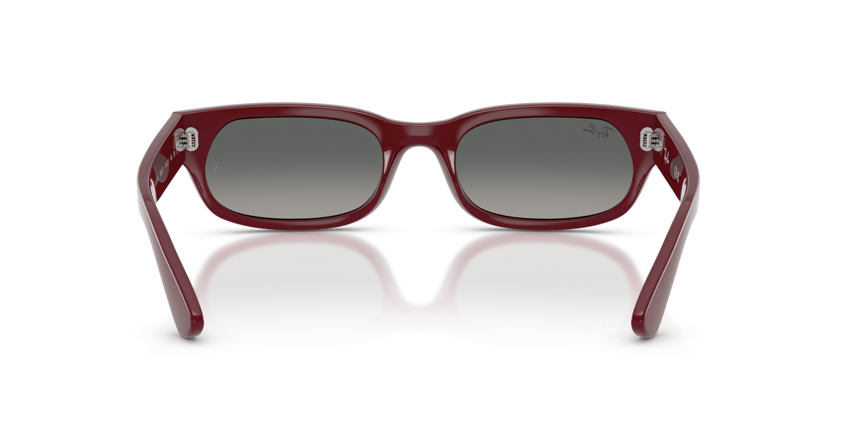 Sunglasses Ray-Ban RB2236 689971 54 20