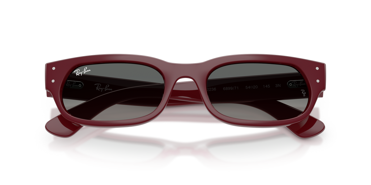Sunglasses Ray-Ban RB2236 689971 54 20