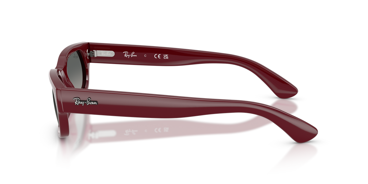 Sunglasses Ray-Ban RB2236 689971 54 20