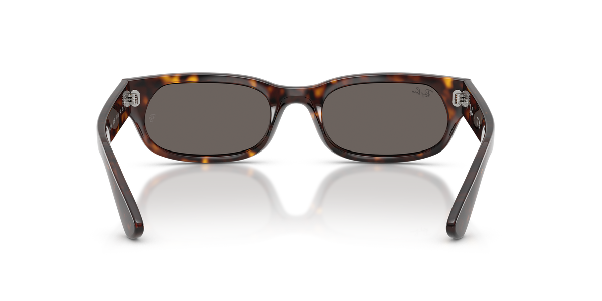 Sunglasses Ray-Ban RB2236 902/B1 54 20