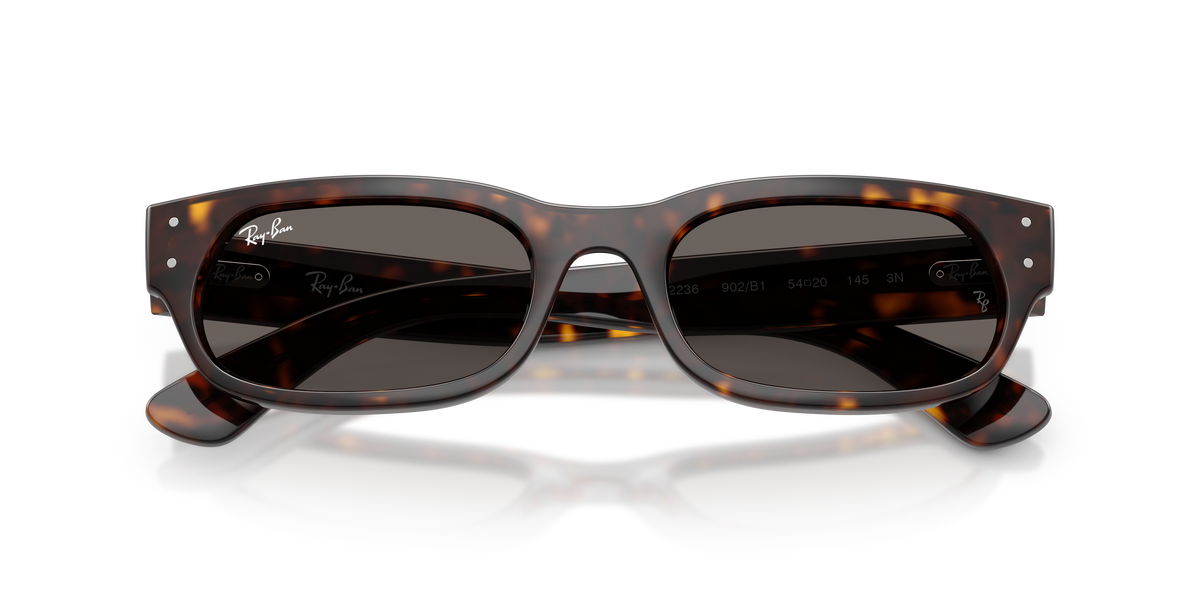 Sunglasses Ray-Ban RB2236 902/B1 54 20