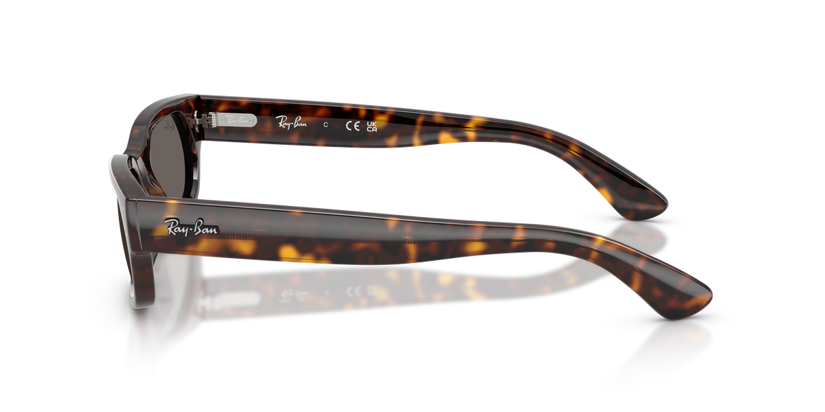 Sunglasses Ray-Ban RB2236 902/B1 54 20