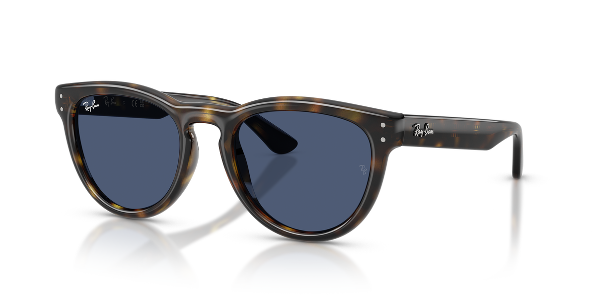 Sunglasses Ray-Ban RB2237 710/80 51 20