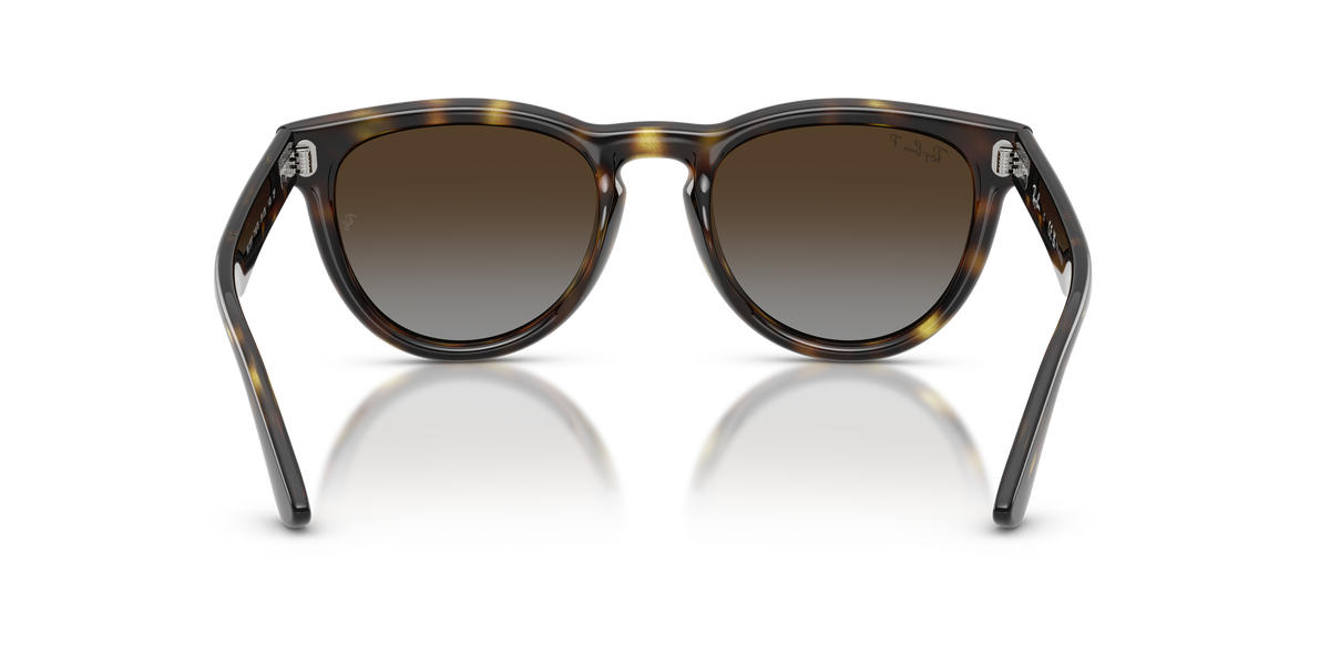 Sunglasses Ray-Ban RB2237 710/T5 51 20