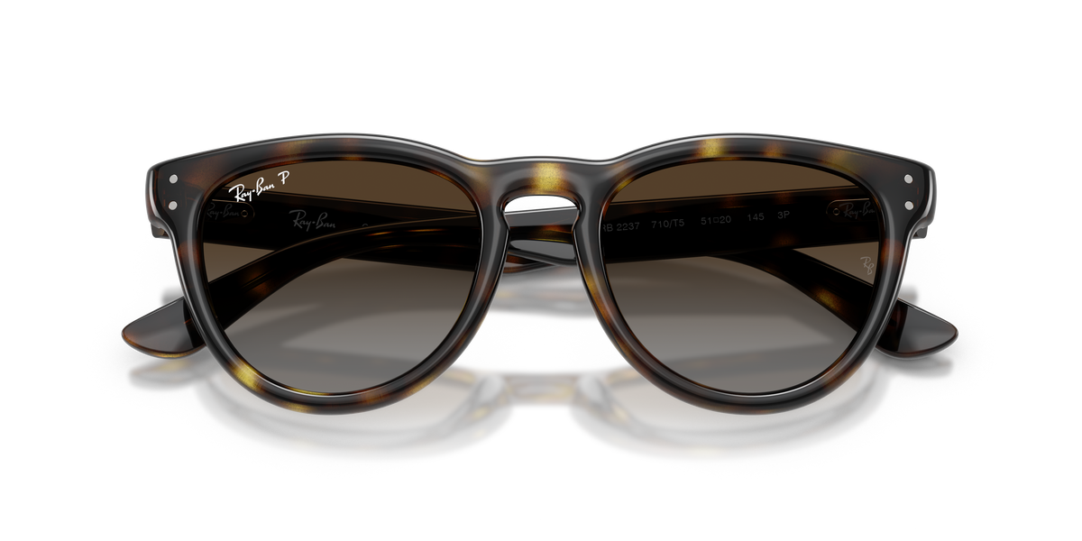Sunglasses Ray-Ban RB2237 710/T5 51 20